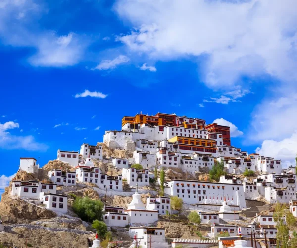 8 Days Thrilling Leh Ladakh Tour Package with Umling La