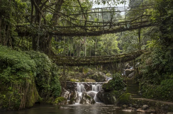 Meghalaya With Kaziranga Road Trip