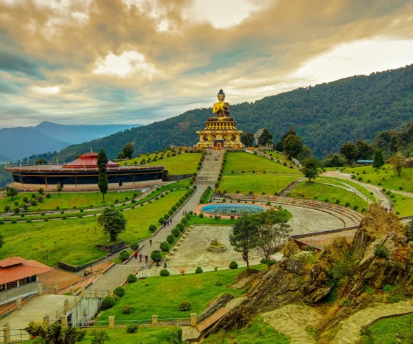 Best of Sikkim, Pelling and Darjeeling – 7 Days Tour Package